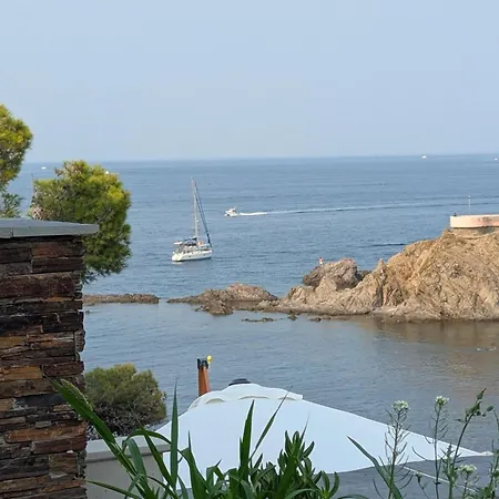 Berenice - Large Sea View Terrace, Pool, Cove & Parking * Collioure