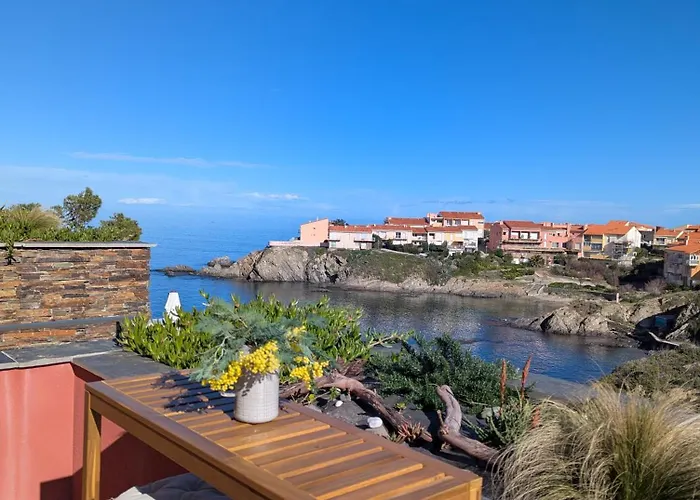 公寓 Berenice, Cote Vermeille-vue Mer, Piscine, Crique & Terrasses